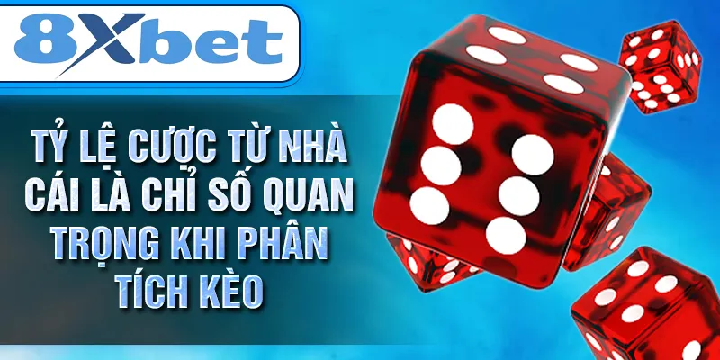 Tỷ lệ cược từ nhà cái là chỉ số quan trọng khi phân tích kèo